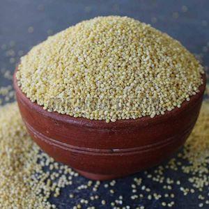 Indian Little Millet