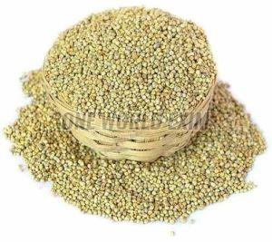 Natural Pearl Millet Seed