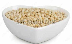 White Sorghum Seeds