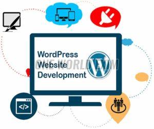 Wordpress Web Development Service