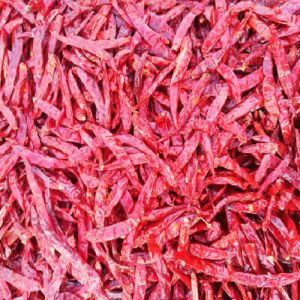 guntur dry red chilli