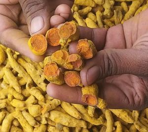 organic turmeric finger
