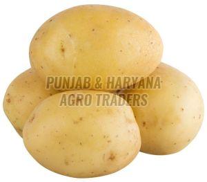 Natural Brown A Grade Fresh Potato