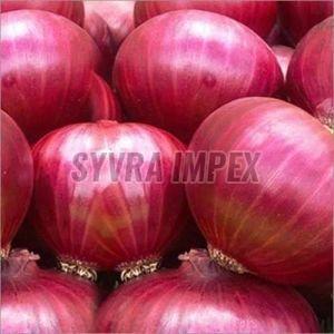 A Grade Red Onion, Shape : Round, Packaging Type : Gunny Bag