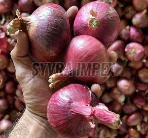 Organic Fresh Nashik Red Onion, Shape : Round