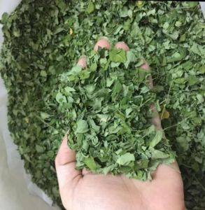 Natural Dried Moringa Leaves, Packaging Type : Green, Purity : 99%