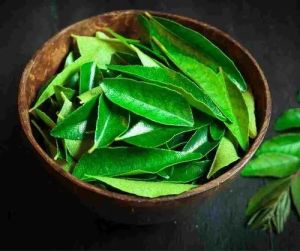 Fresh Curry Leaf, Color : Green, Packaging Size : 5-25kg