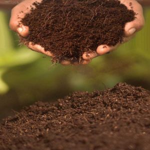 Brown Coco Peat Powder