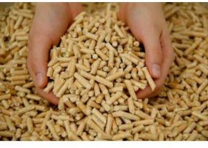 biomass pellet
