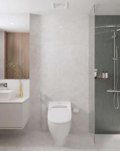 Toilet Interior Designing Services