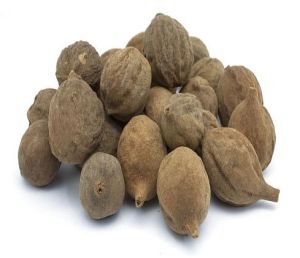 brown dry baheda fruit