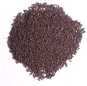Brown Rai Whole Seed, Color : Yellow, Packaging Type : Plastic Pouch