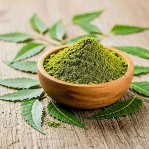 Dried Neem Powder, Packaging Type : Green