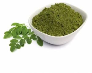 Moringa Leaves Powder, Color : Green