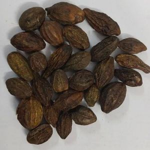Whole Dried Harad Seeds
