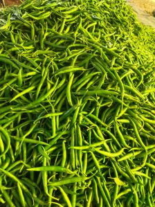  G4 Green Chilli Residue Free, Packaging Size : Cardboard Boxes (5 Kg