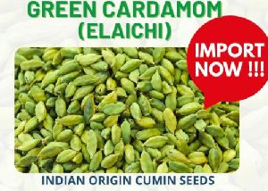 green cardamom, Packaging Size : 50g, 1Kg, 5Kg, 10Kg, 20Kg, 25Kg