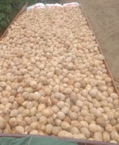 Fully Husked Brown Coconut