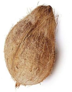 Soft Semi Husked Brown Coconut, Form : Solid