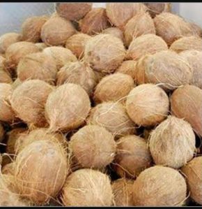 Organic Brown Coconut for Human Consumption
