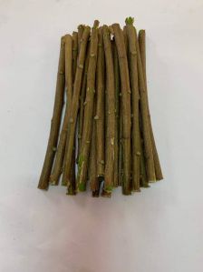 Neem Sticks