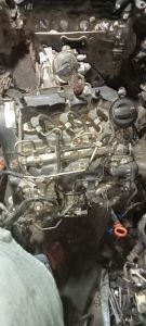 Mechanical Polo Diesel Engine, Color : Black, Brown