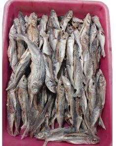 Alif Kolli Karuvadu Dry Fish, Color : White, Packaging Type : Box