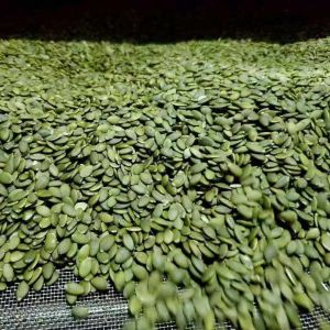 Green Pumpkin Seed