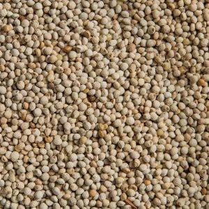 Organic Perilla Seeds