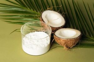 Spray Dried Coconut Milk Powder