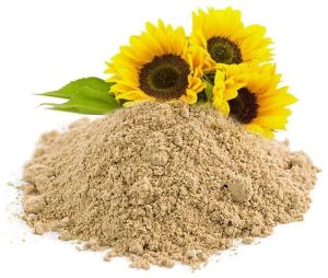 Sunflower Lecithin Powder