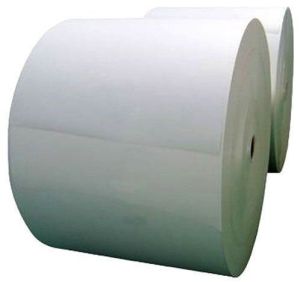 White Thermal Paper Jumbo Rolls