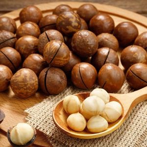 Whole Raw Macadamia Nut