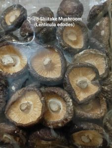 Dried Exotic Gourmet Mushroom