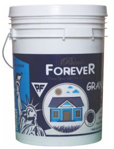 Nerolac Forever Grand Exterior Primer
