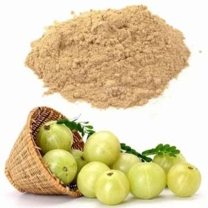 Amla Extract, Color : Brown Dried, Grade : Food Grade
