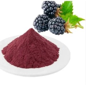 Blackberry Extract, Color : Purple, Form : Powder