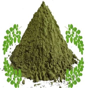 Drumstick Extract, Color : Green, Form : Powder