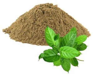 Gymnema Sylvestre Extract, Color : Brown Dried, Form : Powder