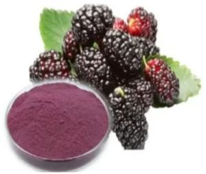 Mulberry Extract