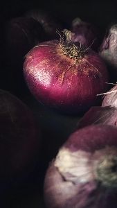 fresh red onion, Cultivation Type : Natural