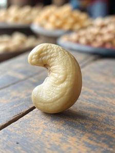 cashew nuts,  Color : White