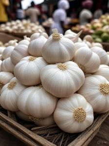 Garlic,  Number Of Flower : Vegetable