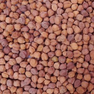 Natural Hard Chickpeas, Color : Brown, Light Brown 4 Mm, 4 Mm