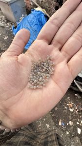 Reprocessed LDPE Granule