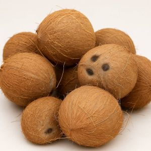 Hard Natural Matured Shelled Coconut, Shape : Round, Form : Solid