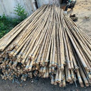 Bamboo Wood
