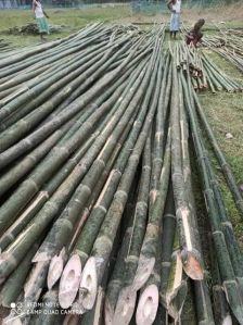 Supper 6 Inches Bamboo Poles
