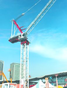 Luffing Jib Tower Crane, Brand Name : Topsky