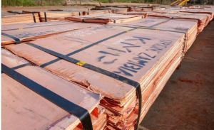 copper cathodes,  Supply Ability : 5000 ton per week